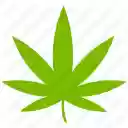 SWED  screen for extension Chrome web store in OffiDocs Chromium