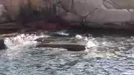 Free download Sweden Coast Sea -  free photo or picture to be edited with GIMP online image editor