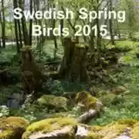 Free download swedish_spring_birds-2015_cover free photo or picture to be edited with GIMP online image editor