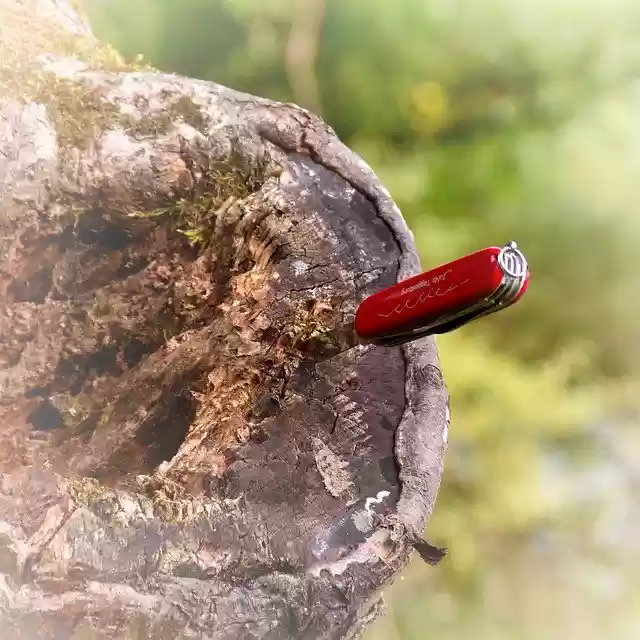 Free download Switzerland Pocket Knife Nature -  free photo or picture to be edited with GIMP online image editor