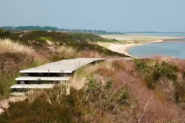 Free download Sylt Braderup Heath Boardwalks -  free photo or picture to be edited with GIMP online image editor