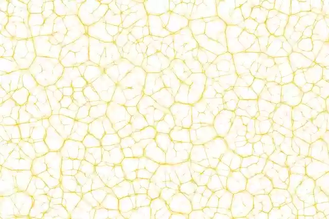 Free download System Web Network -  free illustration to be edited with GIMP free online image editor