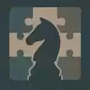 TabForChess  screen for extension Chrome web store in OffiDocs Chromium