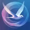 Tailwind Gradient  screen for extension Chrome web store in OffiDocs Chromium