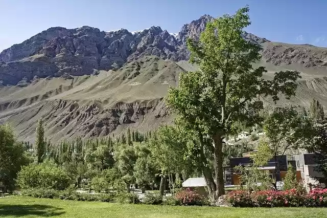 Gratis download Tadzjikistan Khorugh Botanical - gratis gratis foto of afbeelding om te bewerken met GIMP online afbeeldingseditor