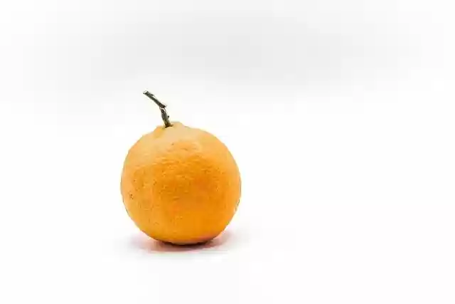 Free download tangerine orange citrus fruit free picture to be edited with GIMP free online image editor