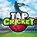 Tap Cricket Game  screen for extension Chrome web store in OffiDocs Chromium