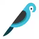 TawkNow Desktop Capture  screen for extension Chrome web store in OffiDocs Chromium