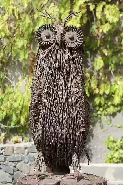 Free download Tbilisi Botanical Garden Owl -  free photo or picture to be edited with GIMP online image editor