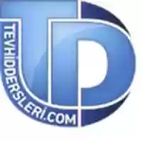 Free download Td Logo free photo or picture to be edited with GIMP online image editor