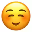 TDS  screen for extension Chrome web store in OffiDocs Chromium