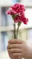 Free download teacher flowers free photo or picture to be edited with GIMP online image editor