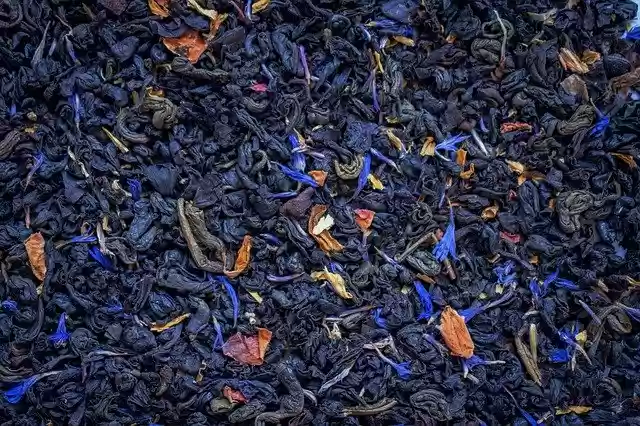 Free download Tea Flowers Dry Dried -  free photo or picture to be edited with GIMP online image editor