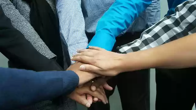 Free download teamwork co workers office business free picture to be edited with GIMP free online image editor