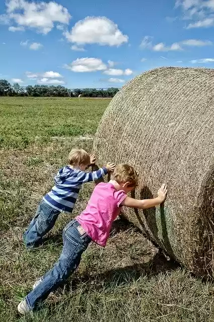 Free download teamwork farm workers co operation free picture to be edited with GIMP free online image editor