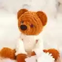 Teddy Bear and Pink Shirt  screen for extension Chrome web store in OffiDocs Chromium