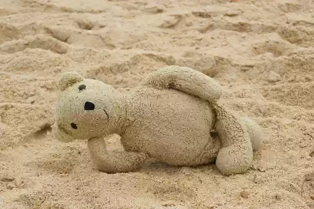 Free download Teddy Bear Beach free photo template to be edited with GIMP online image editor