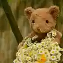 Teddy bears and flowers  screen for extension Chrome web store in OffiDocs Chromium