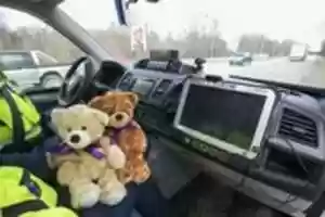 Free download teddy-bears-on-patrol-with-police-estonia-24608 free photo or picture to be edited with GIMP online image editor