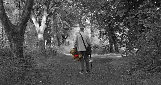 Free download Teddy Bear Walking -  free photo or picture to be edited with GIMP online image editor