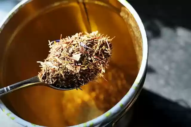 Free download Tee Herbal Tea Drink -  free photo or picture to be edited with GIMP online image editor