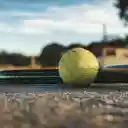 Tennis balls and rackets  screen for extension Chrome web store in OffiDocs Chromium