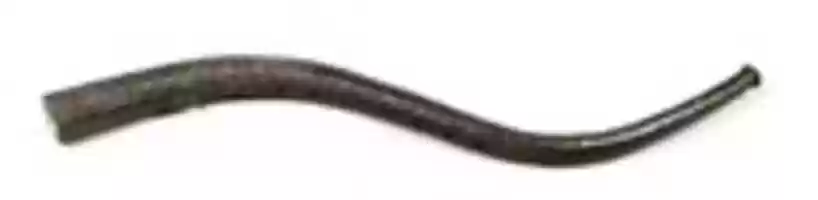 Free download Tenor Cornetto in D free photo or picture to be edited with GIMP online image editor