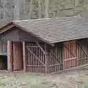 Tent in the forest  screen for extension Chrome web store in OffiDocs Chromium