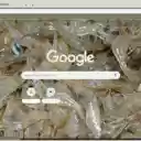 Tep  screen for extension Chrome web store in OffiDocs Chromium