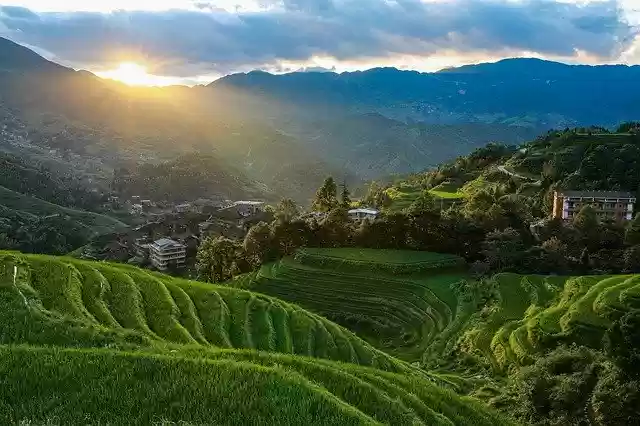 Free download Terraced Field Sunrise -  free photo or picture to be edited with GIMP online image editor