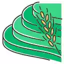 Terraced Rice Fields  screen for extension Chrome web store in OffiDocs Chromium