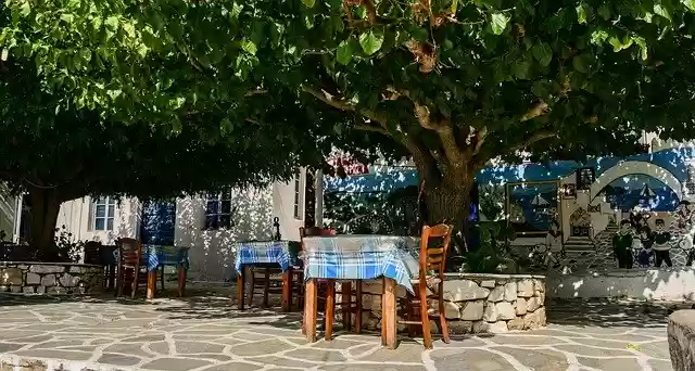 Free download Terrace Restaurant Trees -  free photo or picture to be edited with GIMP online image editor