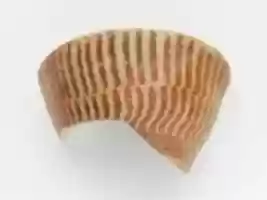 Free download Terracotta rim and upper body fragment from a straight-sided cup with tortoiseshell ripple motif free photo or picture to be edited with GIMP online image editor