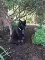 Free download test2 free photo or picture to be edited with GIMP online image editor