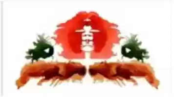 Free download Test Sicologico free photo or picture to be edited with GIMP online image editor