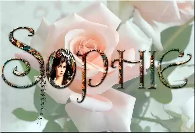 Free download Text Lettering Name -  free illustration to be edited with GIMP free online image editor