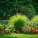 Textural Contrasts in a Garden Border  screen for extension Chrome web store in OffiDocs Chromium