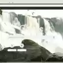 Thac Nam Phuong  screen for extension Chrome web store in OffiDocs Chromium