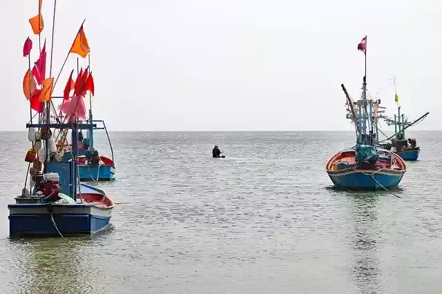 Free download Thailand Fishing Boats -  free photo or picture to be edited with GIMP online image editor