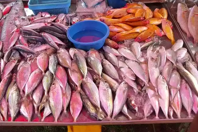 Free download Thailand-Market Fish Fresh free photo template to be edited with GIMP online image editor