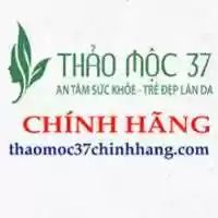Free download thaomoc37chinhhang-avatar free photo or picture to be edited with GIMP online image editor