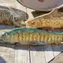 The art of ceramic making  screen for extension Chrome web store in OffiDocs Chromium