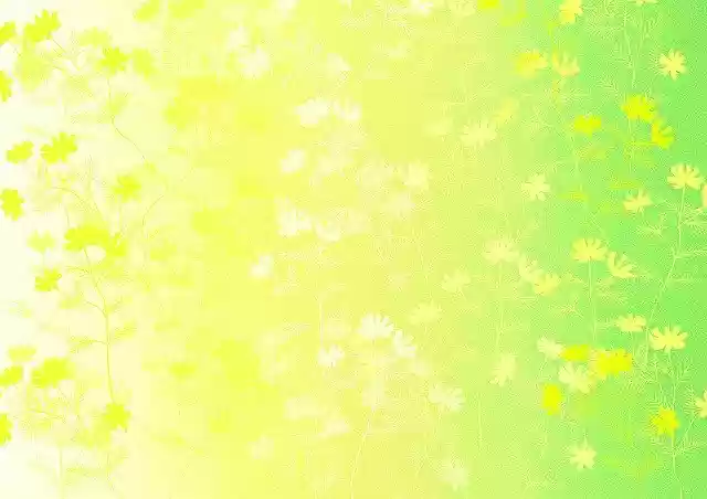 Free download The Background Spring Flowers -  free illustration to be edited with GIMP free online image editor