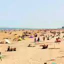 The beach is sunny and windy  screen for extension Chrome web store in OffiDocs Chromium