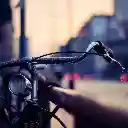 The Bicycle at Sunset  screen for extension Chrome web store in OffiDocs Chromium