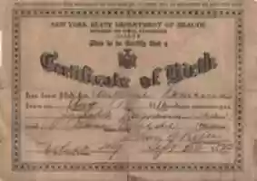 Free download The Birth Certificate of Angeline Damiano free photo or picture to be edited with GIMP online image editor