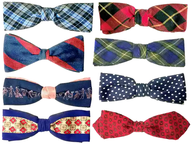 Free download The Bow Tie Costume -  free illustration to be edited with GIMP free online image editor