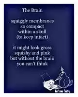 Free download The Brain free photo or picture to be edited with GIMP online image editor