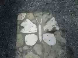 Free download The Butterfly Symbol for the Butterfly Garden free photo or picture to be edited with GIMP online image editor