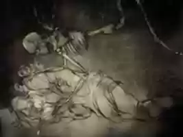 Free download The Chrysanthemum Grave | Callus - Character Study free photo or picture to be edited with GIMP online image editor